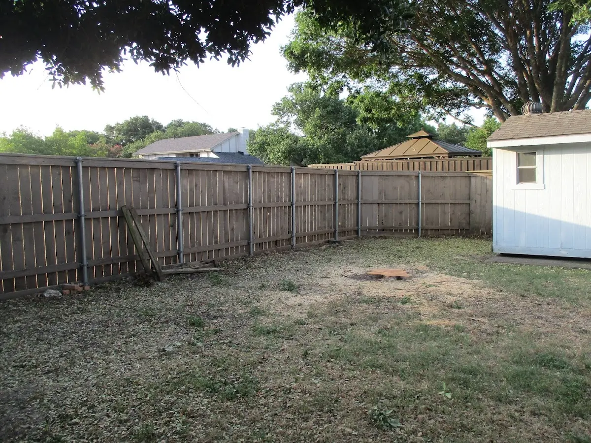 Cleared yard after professional tree removal in Loganville